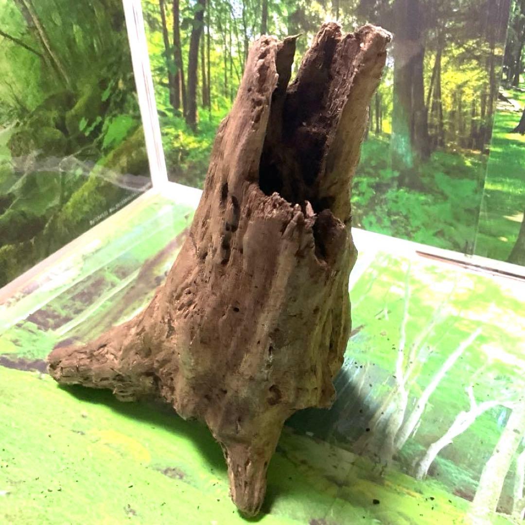 ドロリッチなう様 リクエスト 3点 まとめ商品