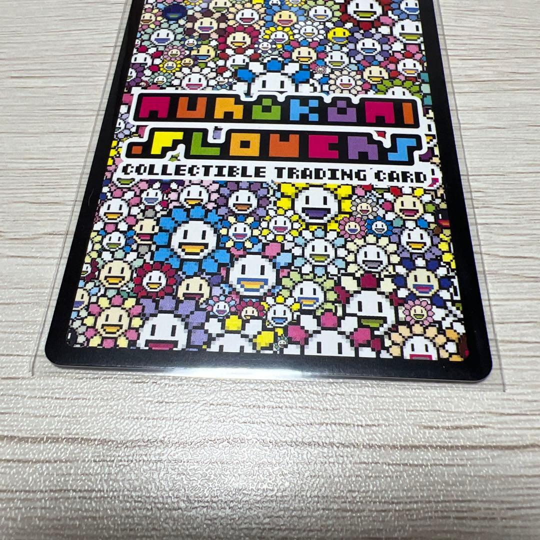 舞妓さんと花見小路通 HTDK-015/SA 001~011 013~014