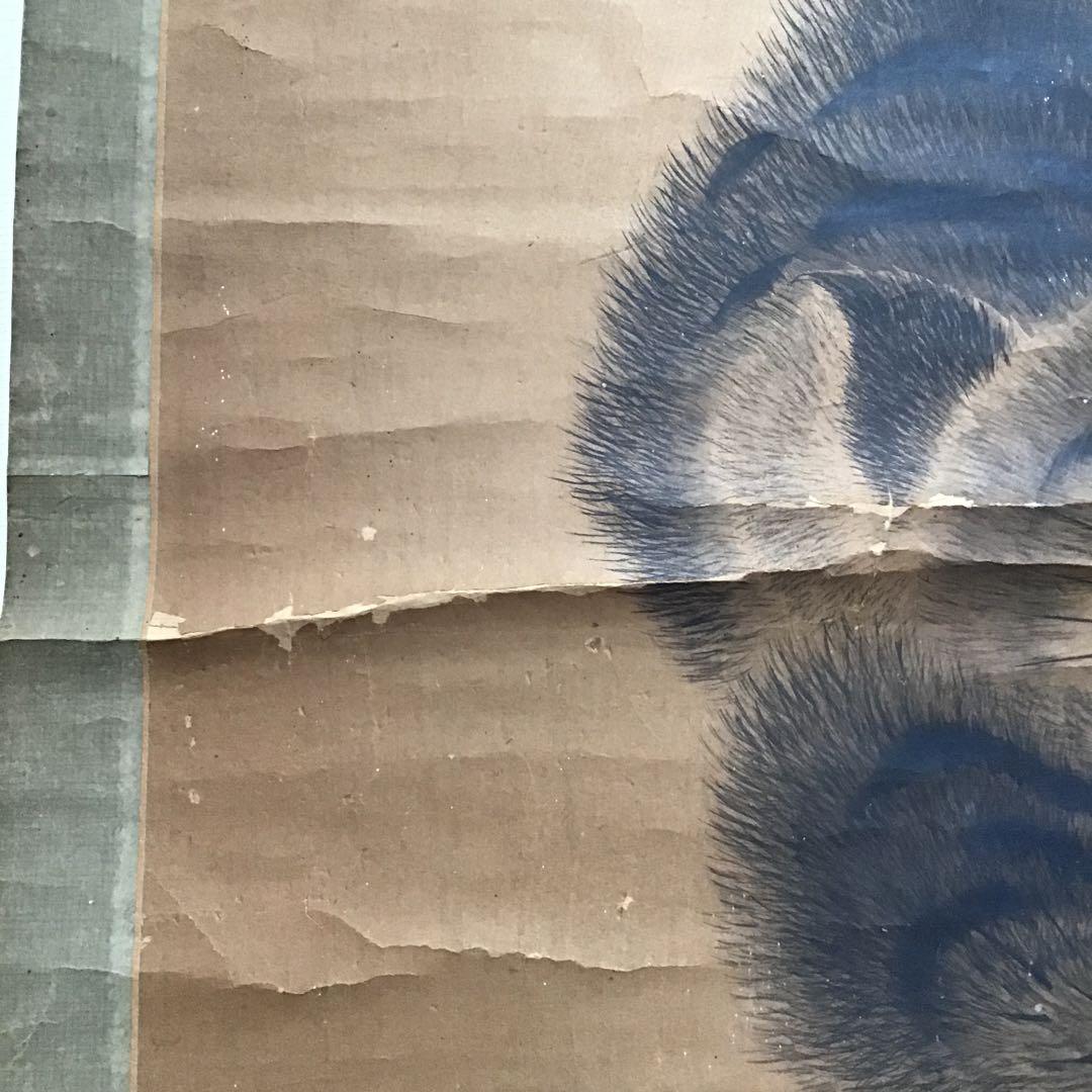 茶道具　掛軸「寅の図」　昌信写　幕末から明治初期と推定　配送用桐箱　S197KJ