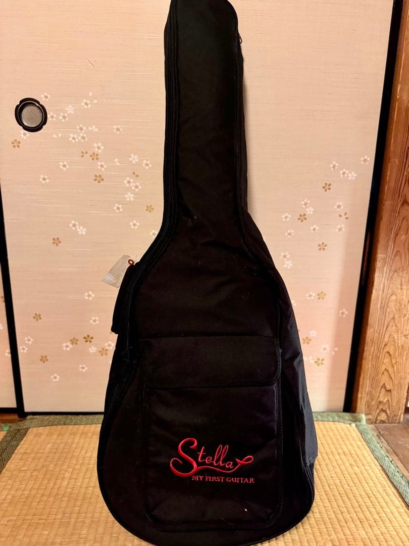 SCHECTER エレキギター