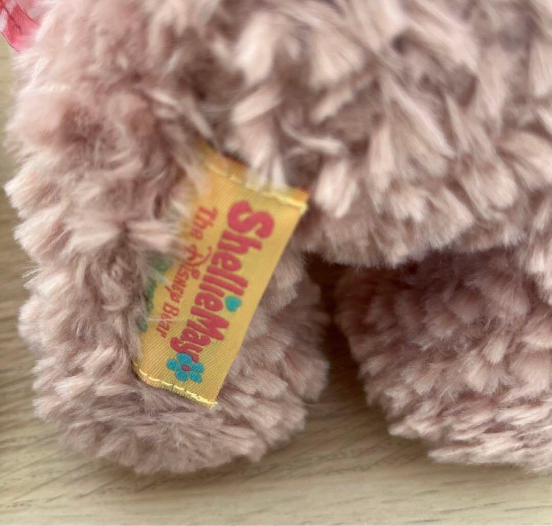 ダッフィー　シェリーメイ　ぬいぐるみ　スプリングボヤッジ　2体セット　限定出品