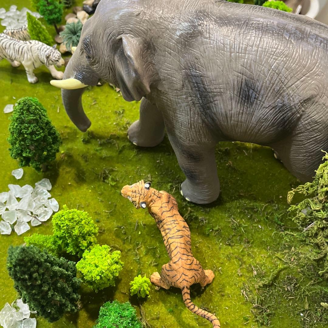 CollectA，Schleich，Papo，favorite 動物フィギュア