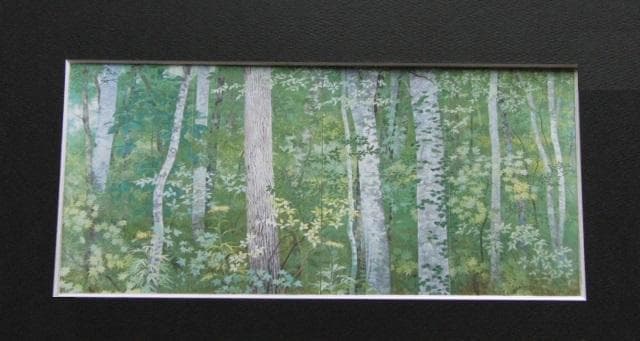 林潤一、【緑林】、希少な額装用画集より、新品額装付、状態良好