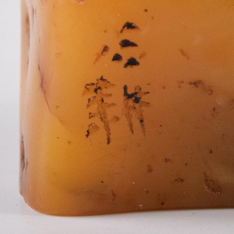 中国　篆刻　玉石田黄石彫刻　神獣刻　印材　置物　在銘　M　R8368