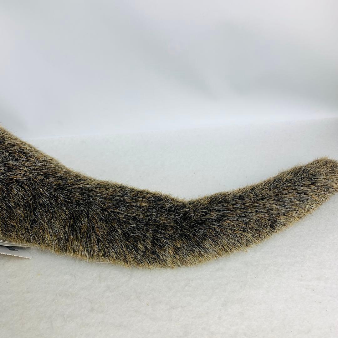 ハンサ ぬいぐるみ 3319 カワウソ かわうそ リアルアニマル 動物 獺