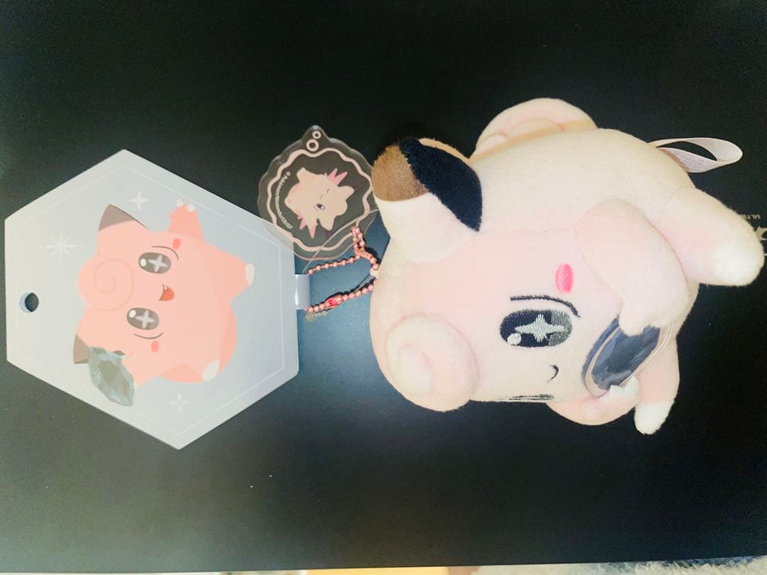 進化の石　ピッピ