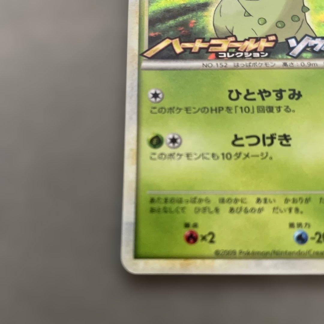 ポケモンカードゲーム　チコリータ　ランダムプレゼントキャンペーン プロモカード