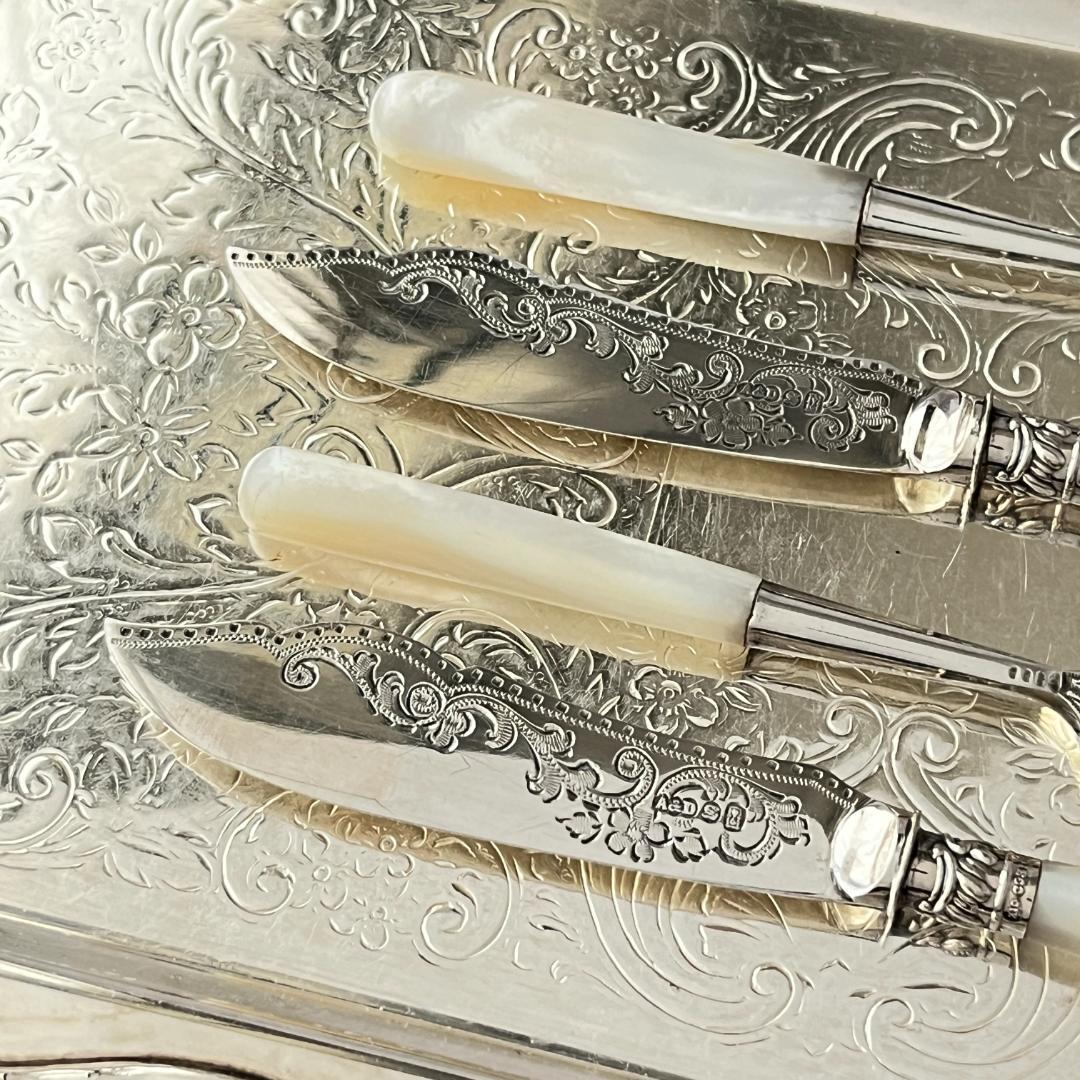 【Allen & Darwin】【白蝶貝】ミニサーバーセット 4本 ケース