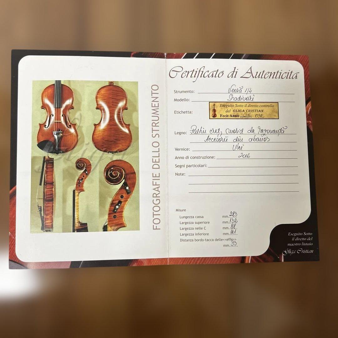 Gliga GAMA バイオリン 1/4