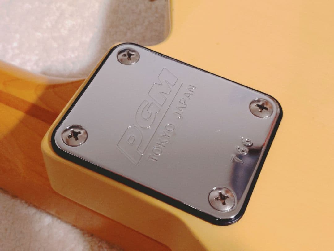 K.Nyui Lollar pickups Bigsby B16 テレキャスター