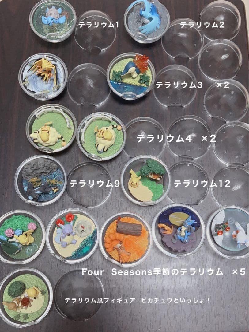 ポケモン テラリウム まとめ売り