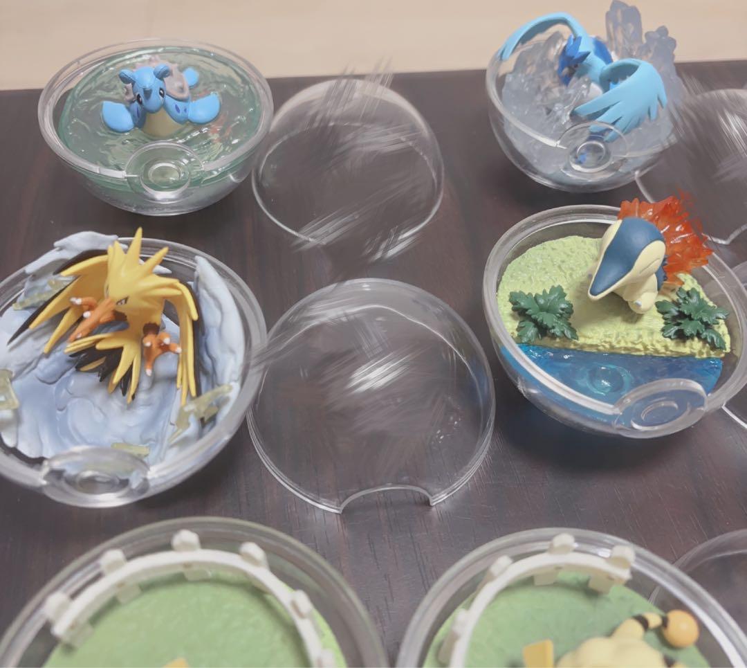 ポケモン テラリウム まとめ売り