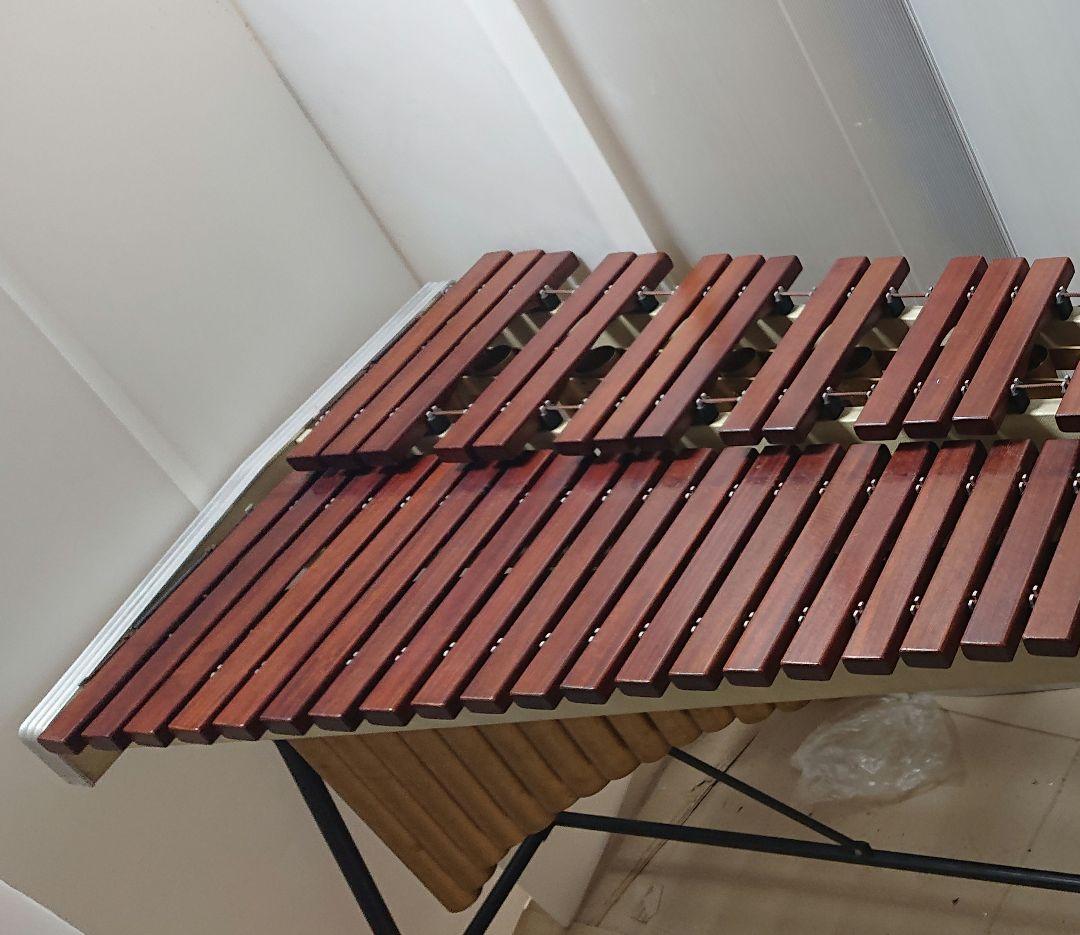 マリンバ サイトウ