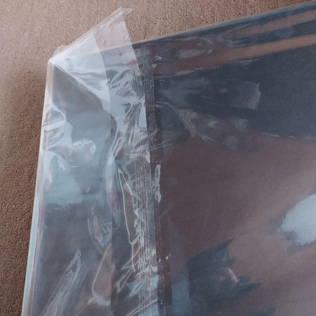 GARNET CROW　ファイナルライブ　額装　完全受注生産　未使用