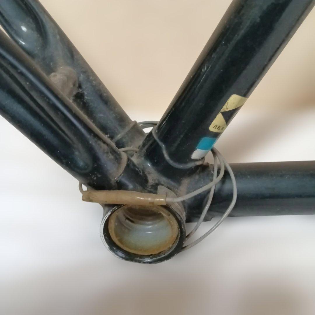 EMPEROR 濃緑 フレーム