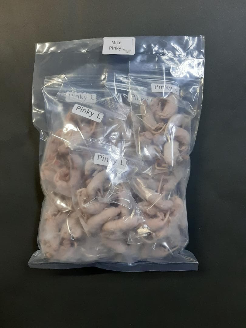 国産冷凍マウス ピンクL 100匹(一部地域発送不可)