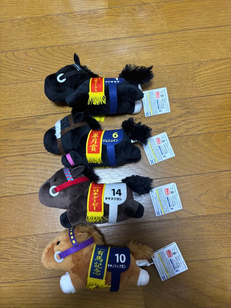 【サージカル新子】サラコレおまとめ8点