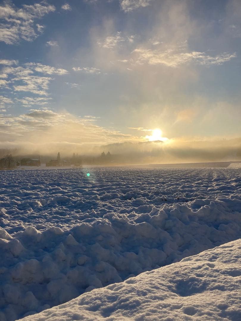 令和7年産魚沼コシヒカリ　精米10kg
