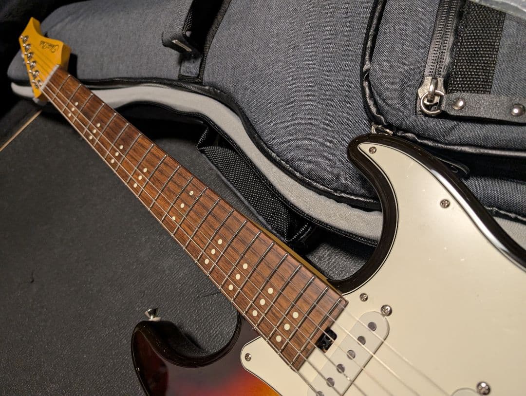 Three Dots Guitars s ケース付　オーダーピックガード付