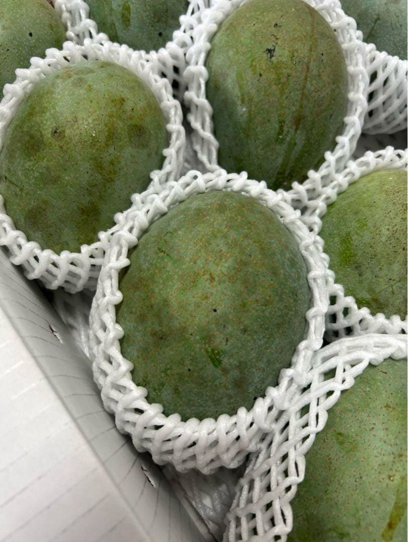 <ご家庭用/訳あり>ミニキーツマンゴー4kg ★沖縄県産★F