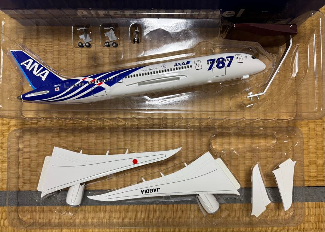 【専用】ANA B787 ボーイング1:130スケール ジェット機 ディスプレイ