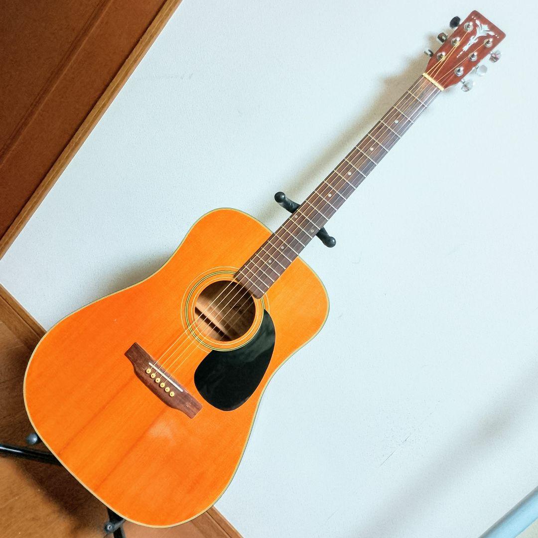 ARIA　ADW-200　ジャパンヴィンテージ　アコースティック ギター