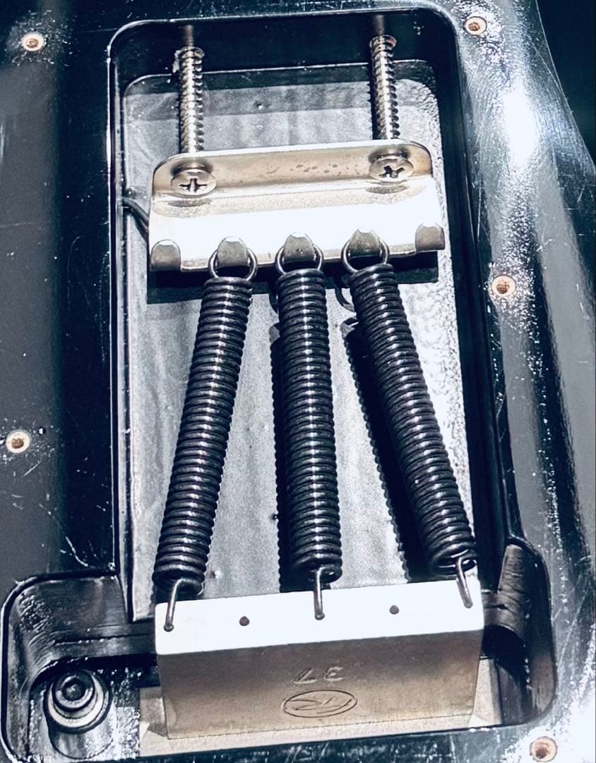 ESP SNAPPER-CTM24-FR-QM/M スナッパー フロイドローズ