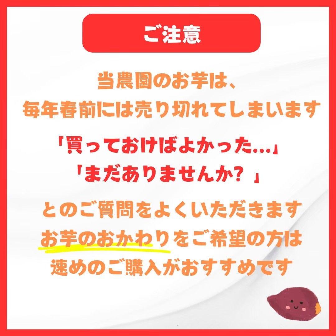 さつまいも『安納芋』