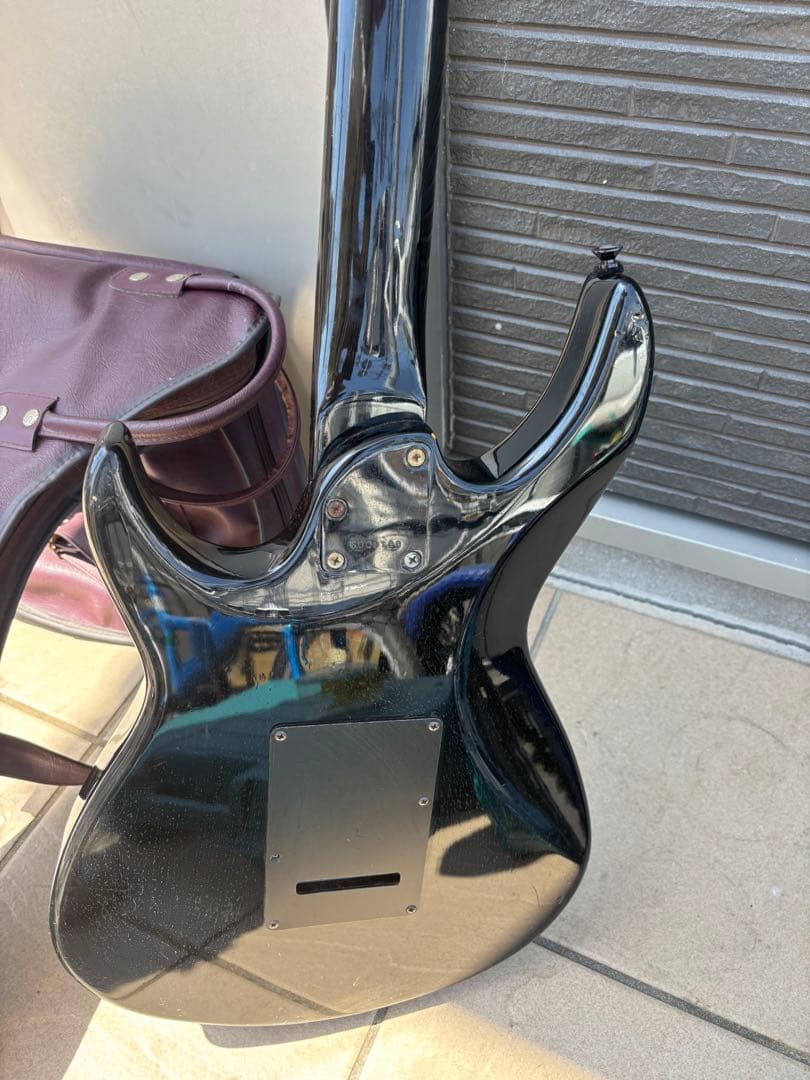 Black Dog by Aria pro Ⅱ