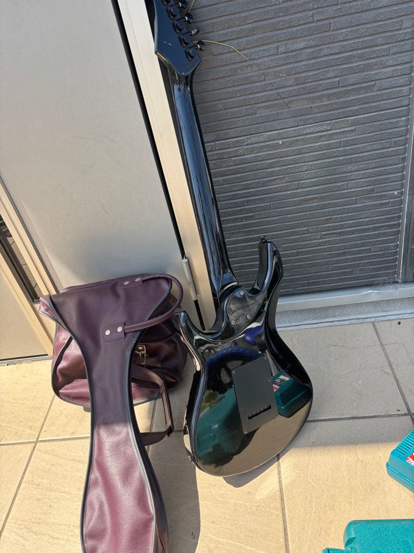 Black Dog by Aria pro Ⅱ