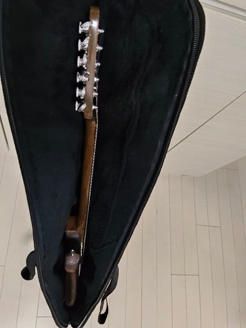 オリジナル エレキギター オイルフィニッシュ ギグバック付き