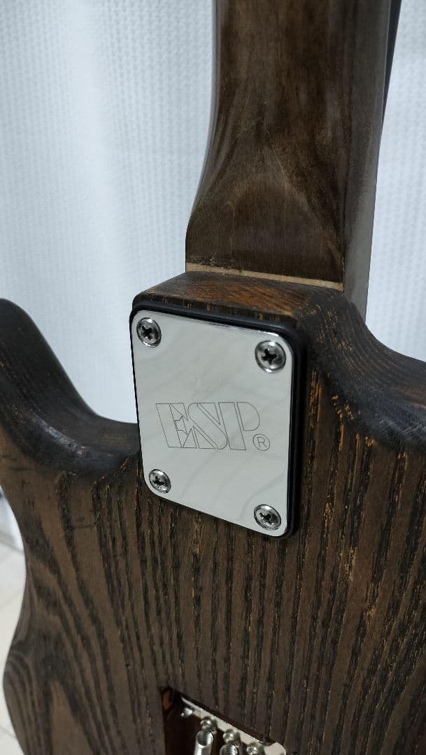 オリジナル エレキギター オイルフィニッシュ ギグバック付き