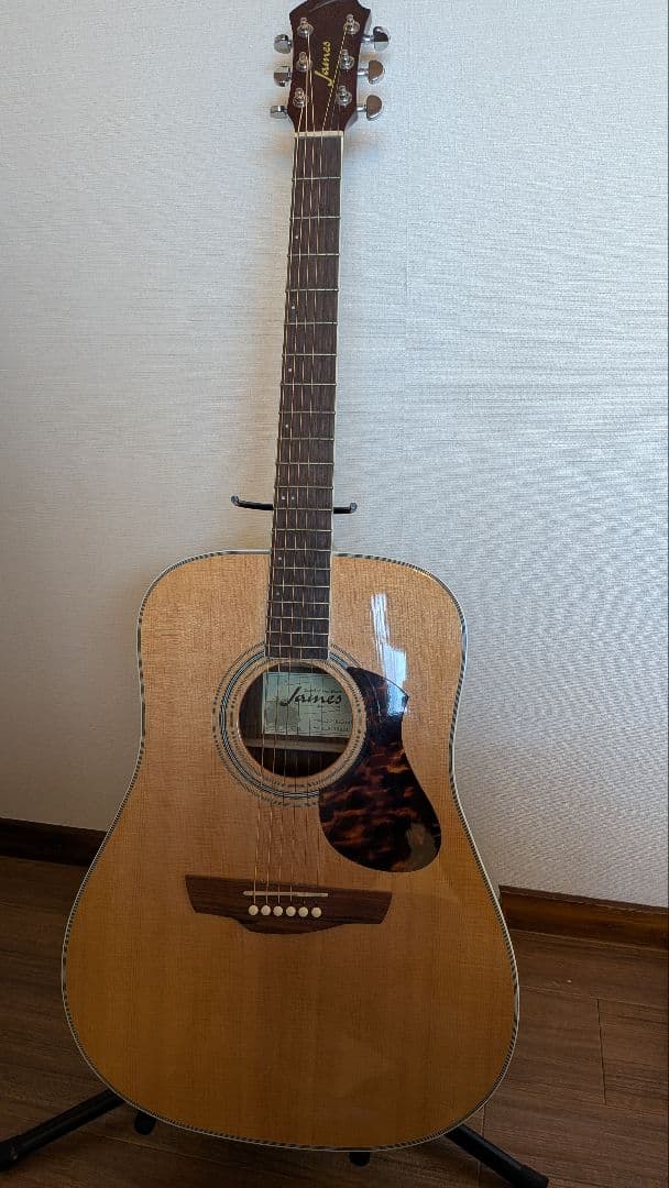 James J-500D アコースティックギター