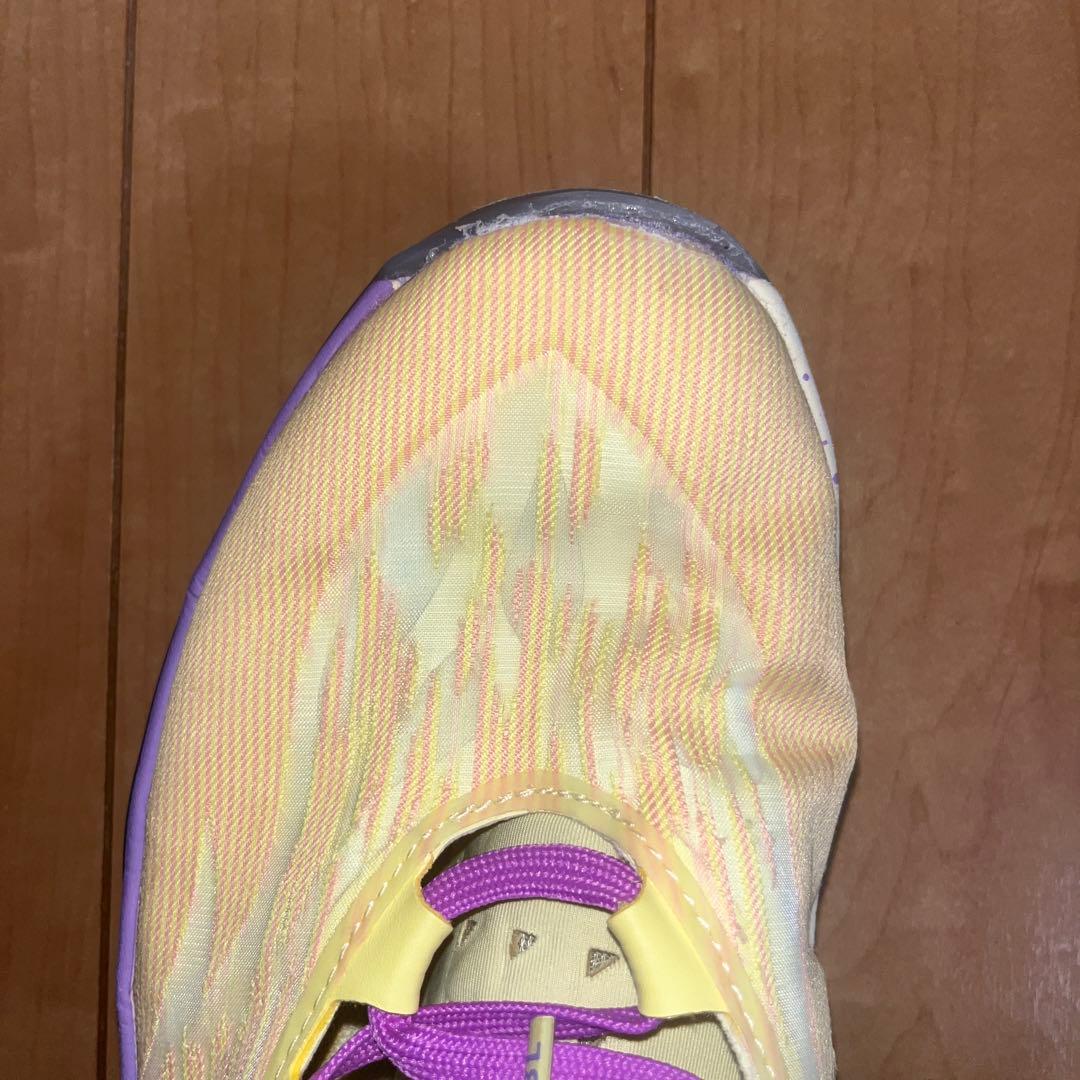 「希少」 GTcat2 EYBL NationaIs