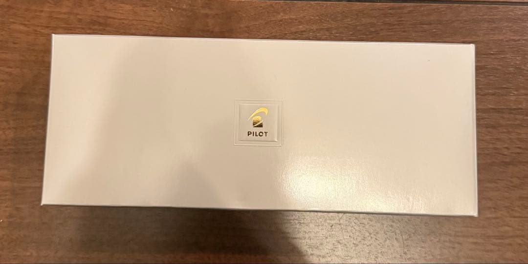 新品 PILOT CUSTOM 742 万年筆 ディープレッド　中字