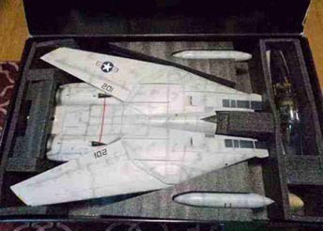 稀少絶版1/18 F-14A トム・キャット/VF84 (リニューアル版)