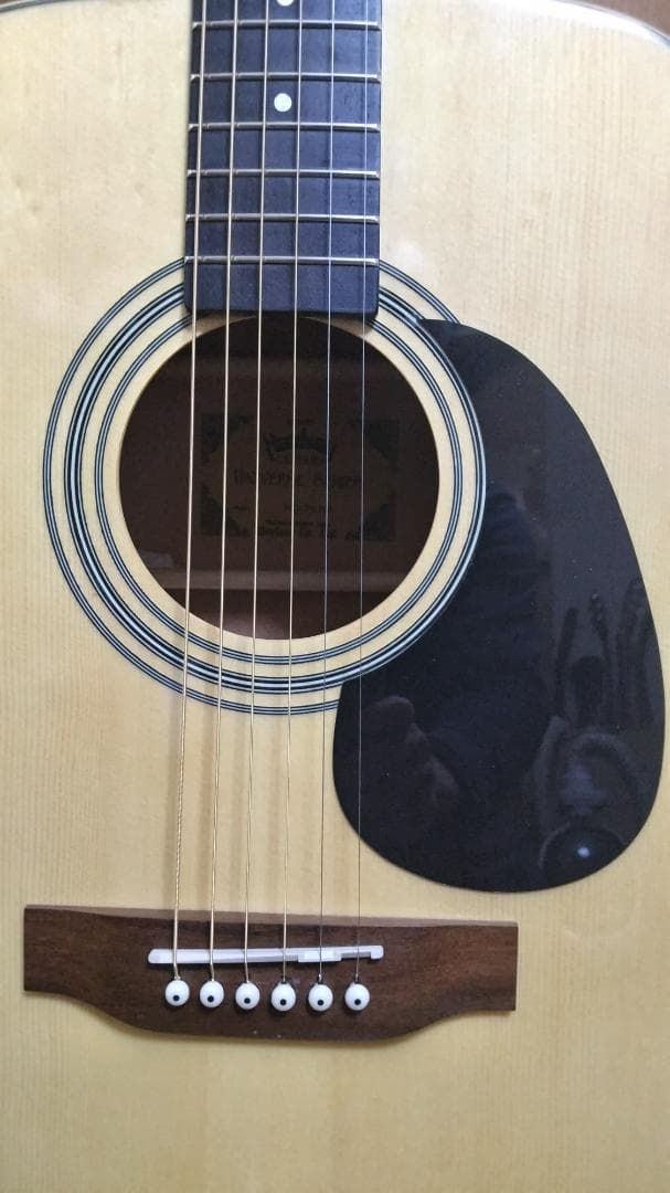 ❤️弦高調整済！「Headway ヘッドウエイ HD-25 NA」＋専用ケース