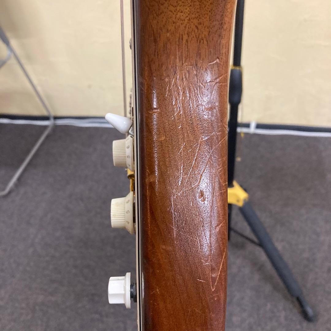 Moon ウォルナット/エボニー ストラトキャスター