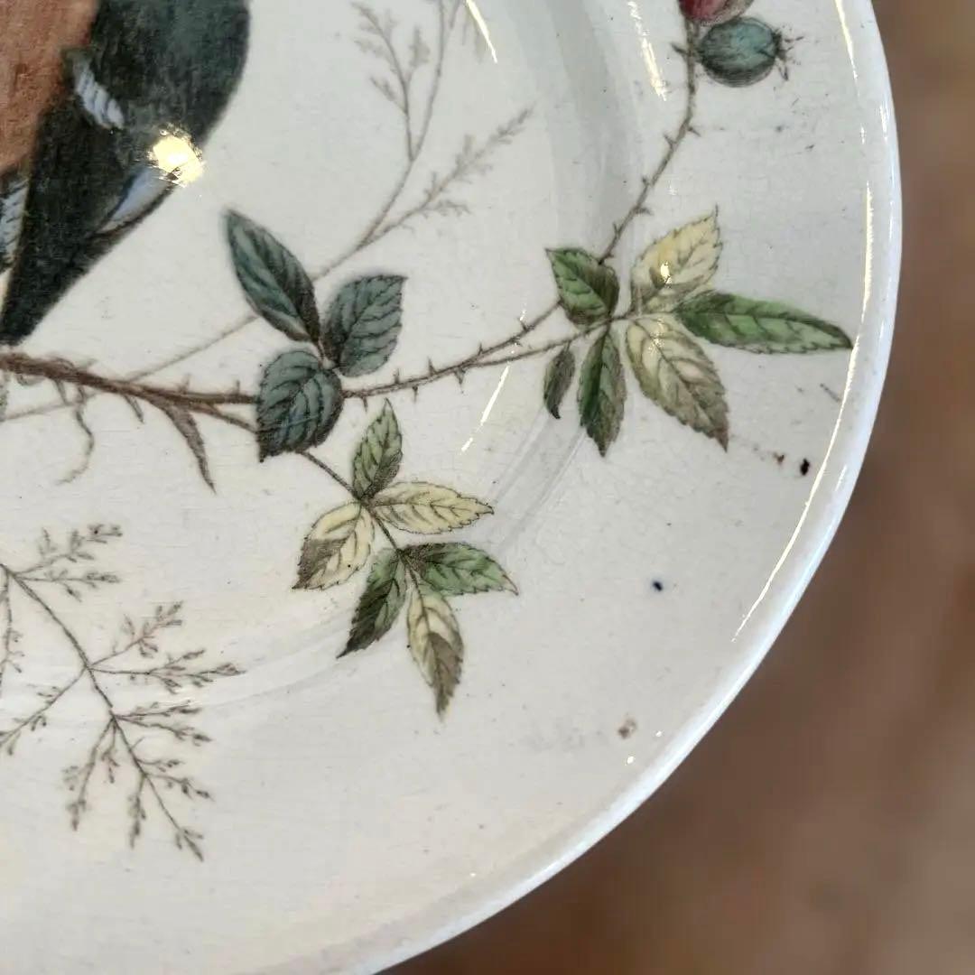 希少アンティーク　ジョン・モードロック・ロビン・プレート1800年代後半