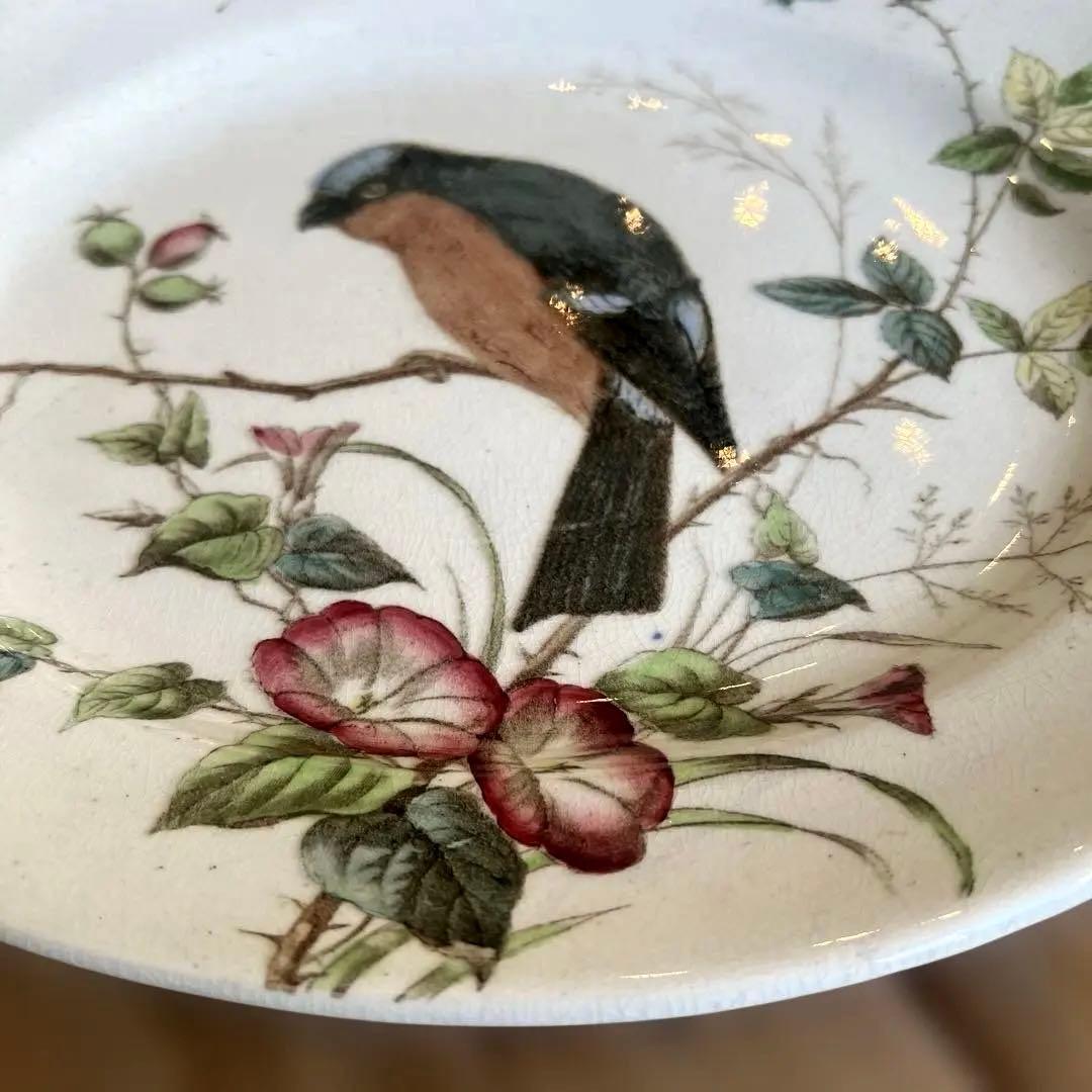 希少アンティーク　ジョン・モードロック・ロビン・プレート1800年代後半