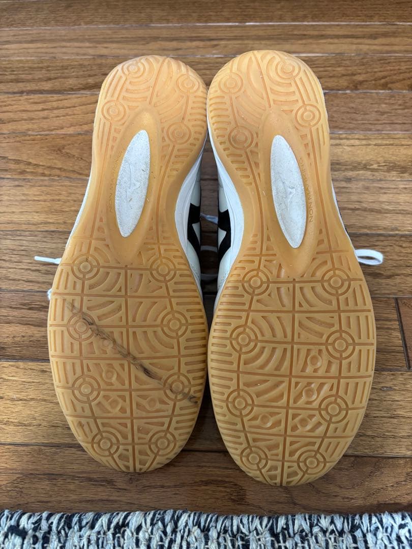 Mizuno モレリアイン　27.0