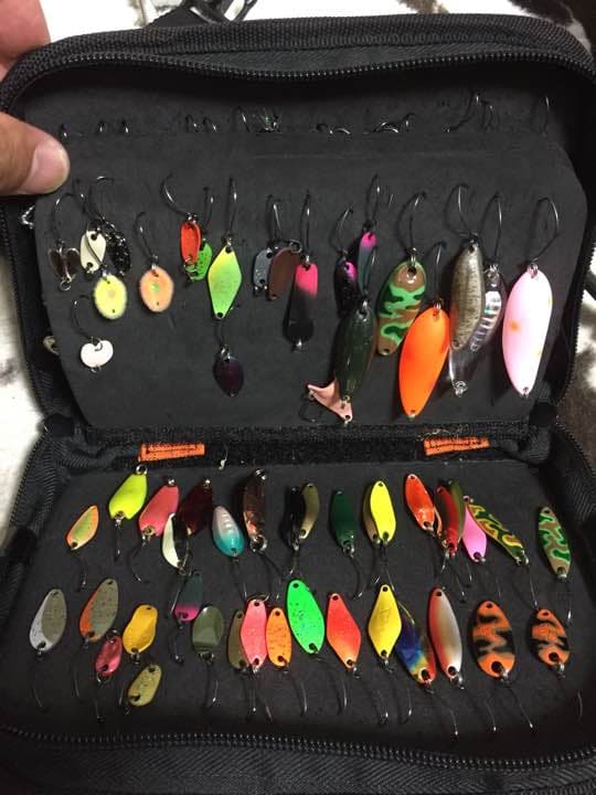 超お買い得❗️ ルアーセット ルアーケース付き