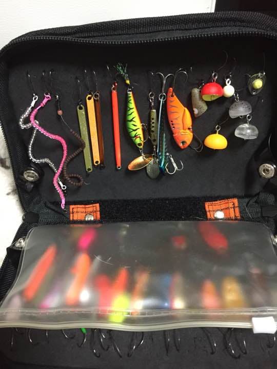 超お買い得❗️ ルアーセット ルアーケース付き