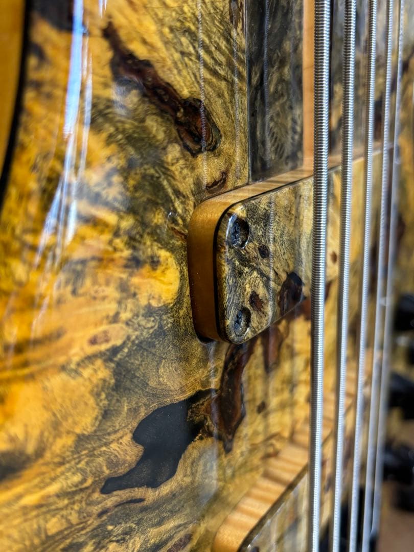 ベース F bass BN-5 buckeye burl
