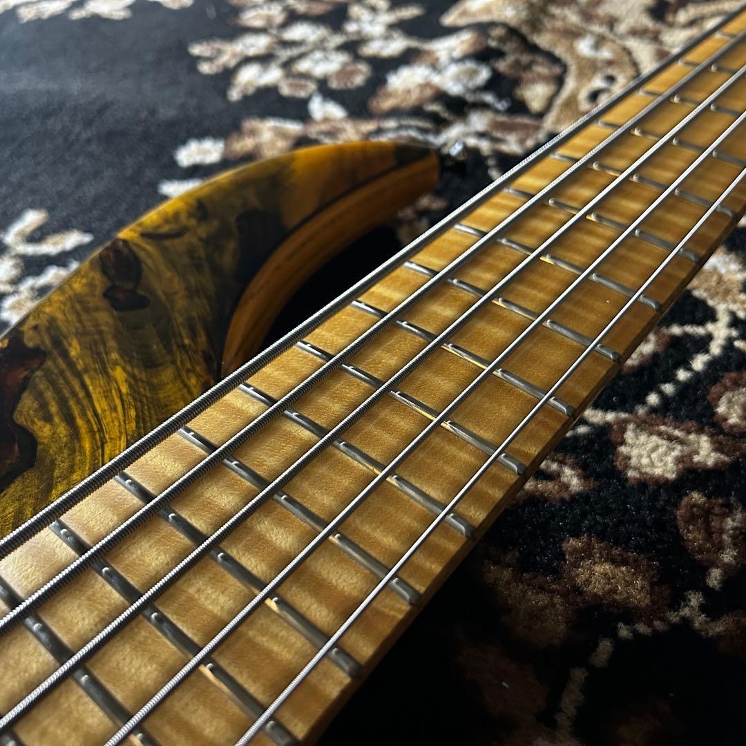ベース F bass BN-5 buckeye burl