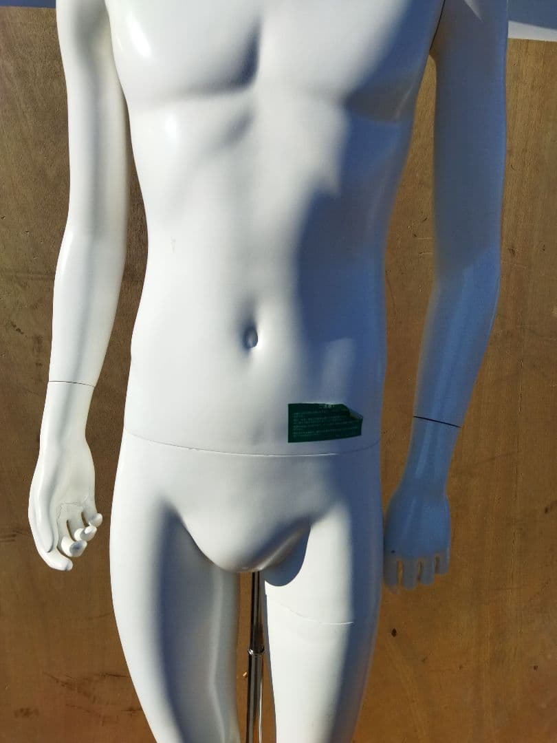 男性用マネキン トルソー 約53×50×H180cm　人形　等身大