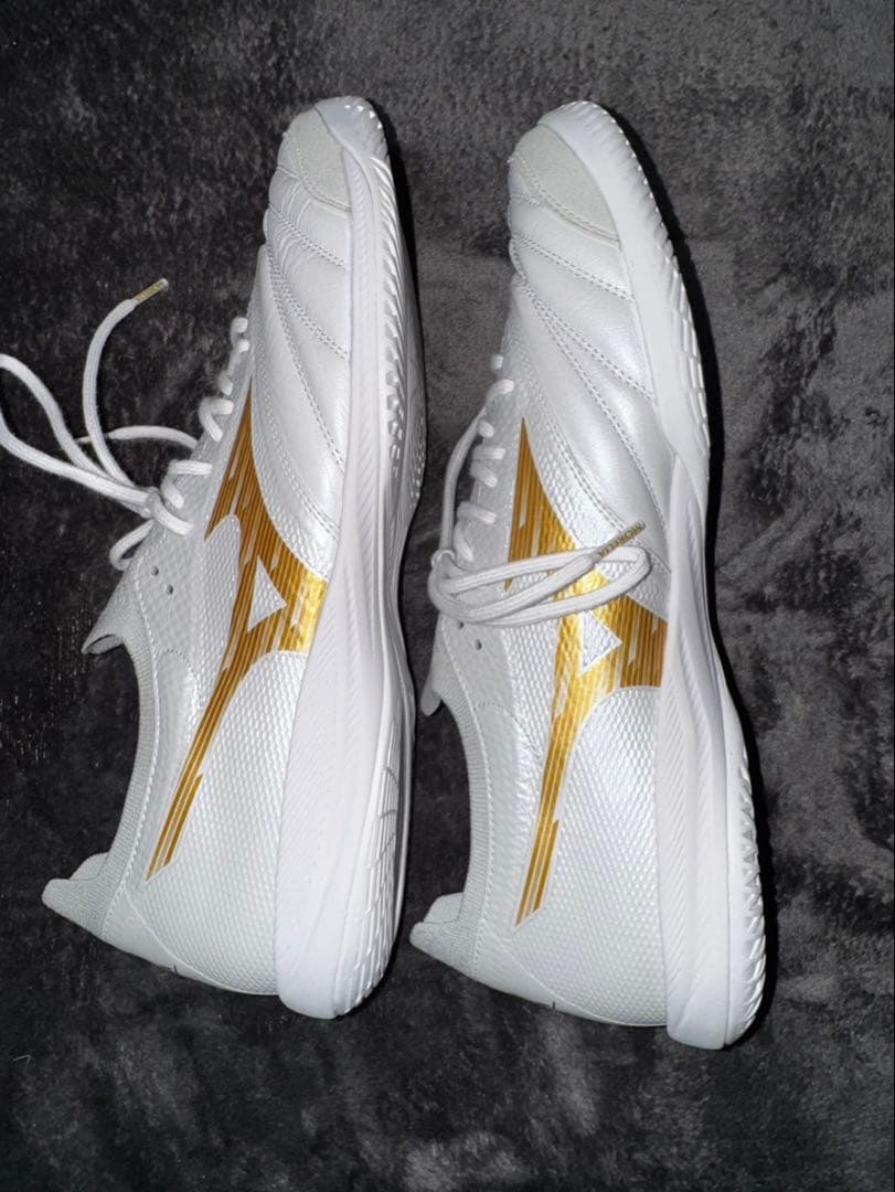 ミズノモレリアネオ