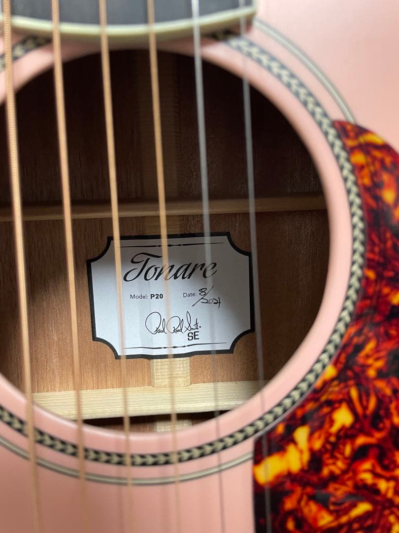 超美品！Paul Reed Smith SE Parlor Fishman