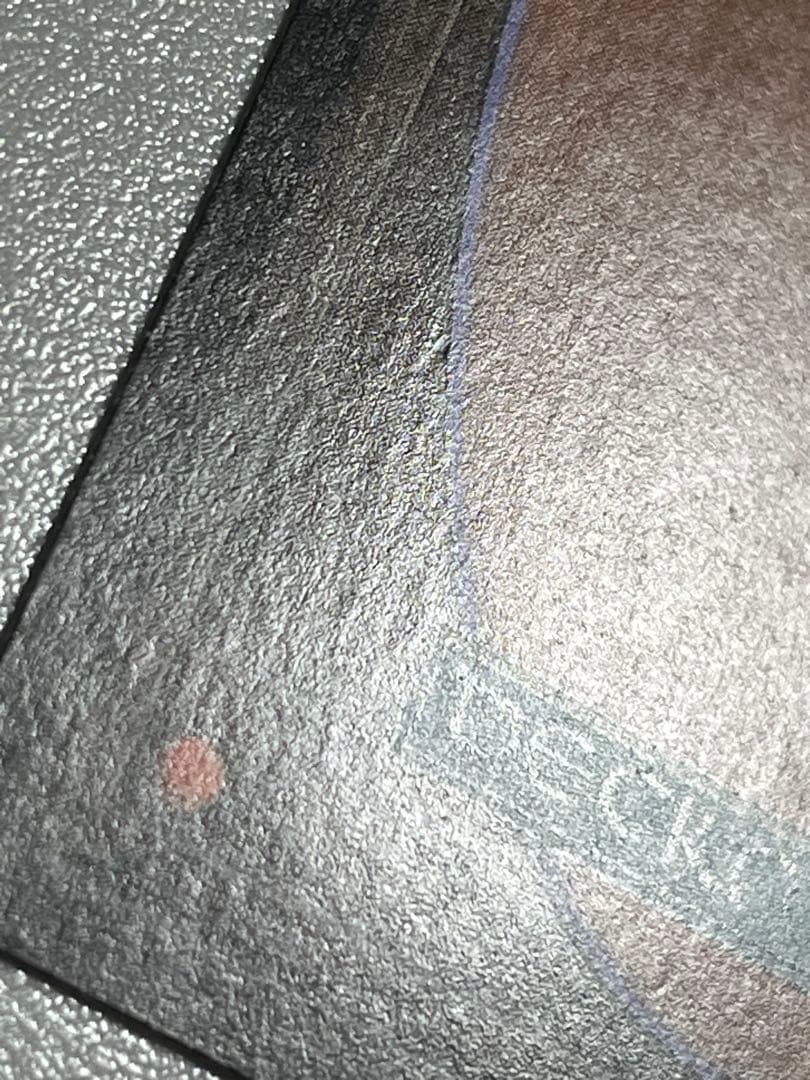 タールルームの勇士ターンガース 絵違い foil 日本語版