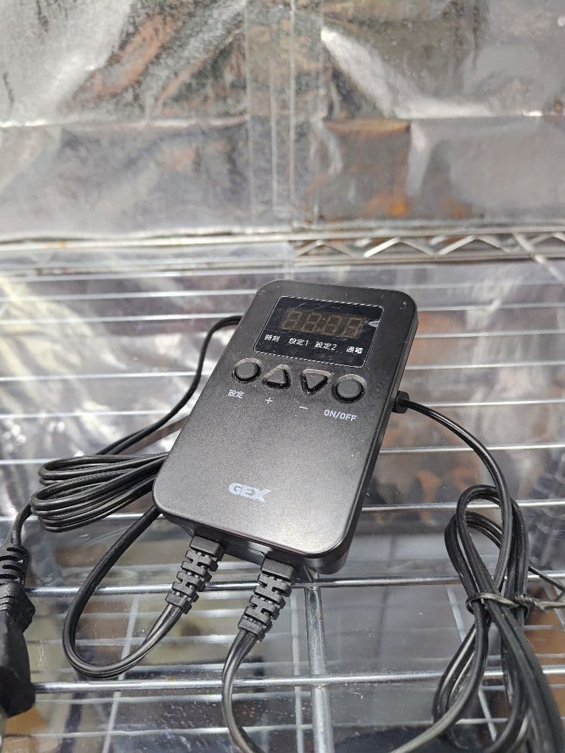 水耕栽培 セット（生体にも）